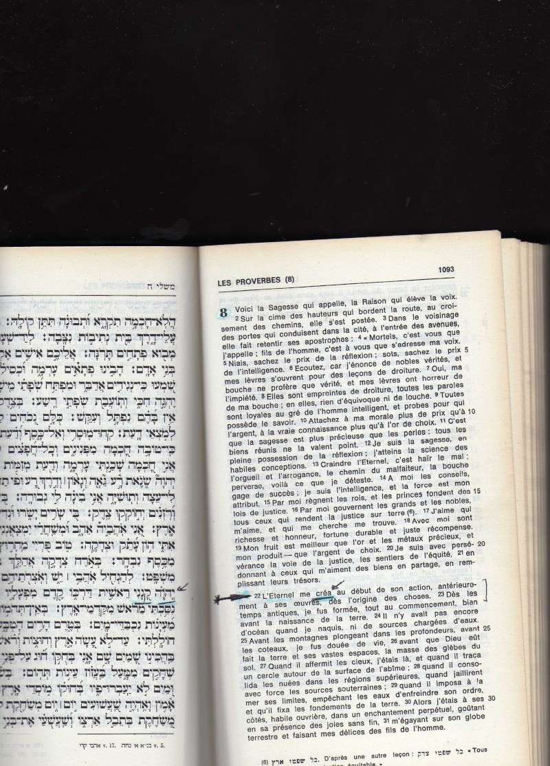 Divergences et convergences entre Témoins de Jéhovah et Evangéliques Unitariens - Page 4 Img44410