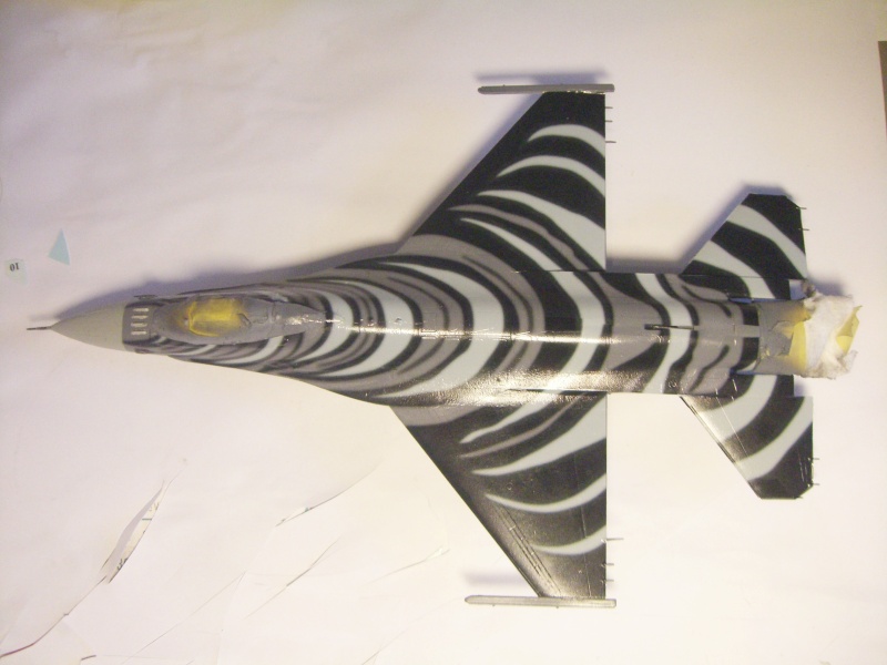 [Revell] F-16 Mlu Falcon "Tigermeet 2009" -1/72- - Page 2 Cimg0224