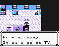 Pokemon Misadventures: Eccentric Tale of Pikachu  Home1011