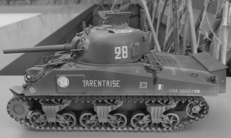 Sherman M4A2 " tarentaise " et AMM 8 " Massy " ( la deco ). - Page 2 P7180021