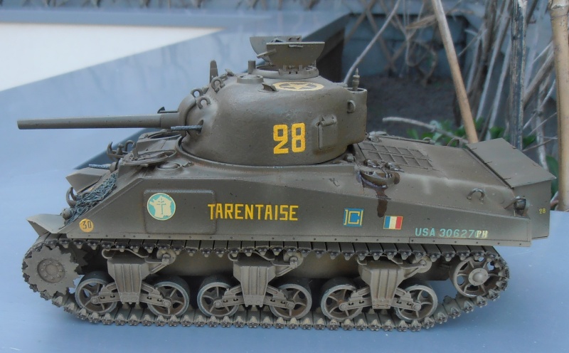 Sherman M4A2 " tarentaise " et AMM 8 " Massy " ( la deco ). - Page 2 P7180022