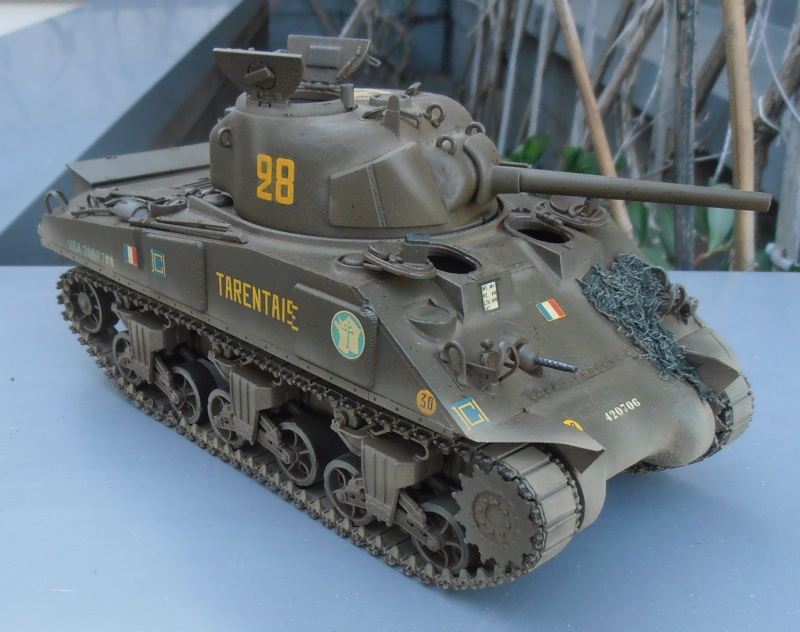 Sherman M4A2 " tarentaise " et AMM 8 " Massy " ( la deco ). - Page 2 P7180025
