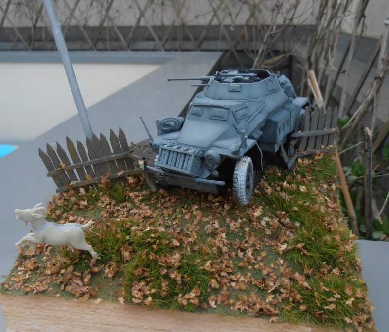 Sdkfz 222  ( le diorama ) P7240118