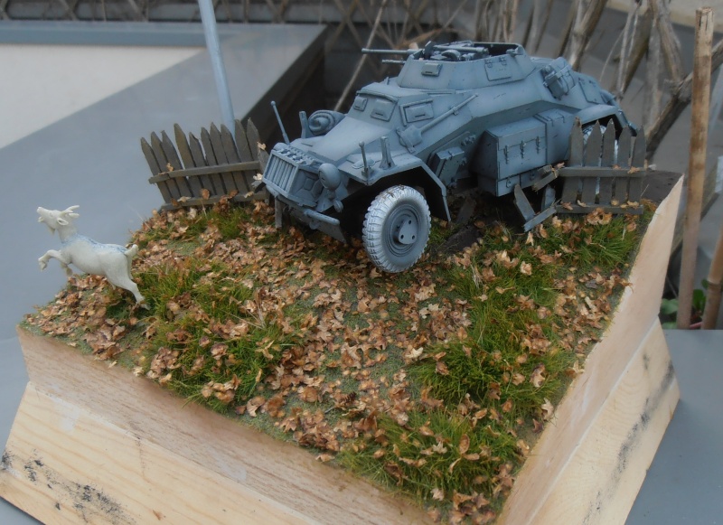 Sdkfz 222  ( le diorama ) P7240120