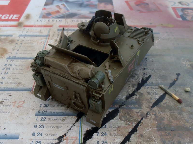 M113 ACAV ( tamiya 1/35eme ) - Page 2 P7310314