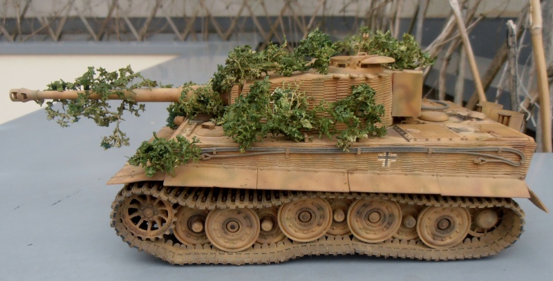 Tigre I " panzer abteilung 101 " [Tamyia, 1/35]: le montage et le diorama. - Page 6 P9080510