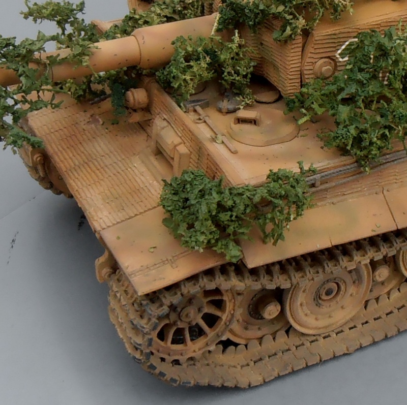 Tigre I " panzer abteilung 101 " [Tamyia, 1/35]: le montage et le diorama. - Page 6 P9080512