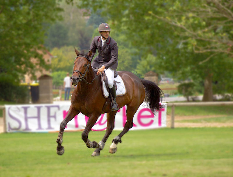 A Cluny le regard sur le prochain Cheval10