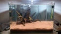 Scaper tank dennerle 50L complete plus (Premier aquarium) Dsc_0210