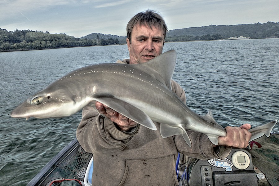 Reportage : pêche aux requins P9130010