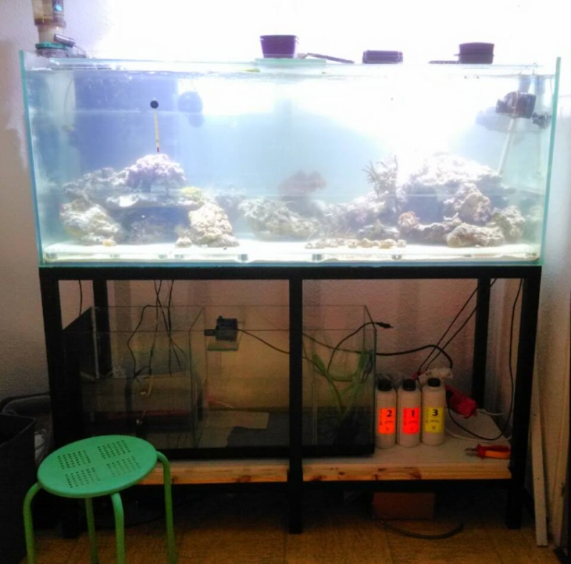 Nouvel aquarium 140 litres 10660210