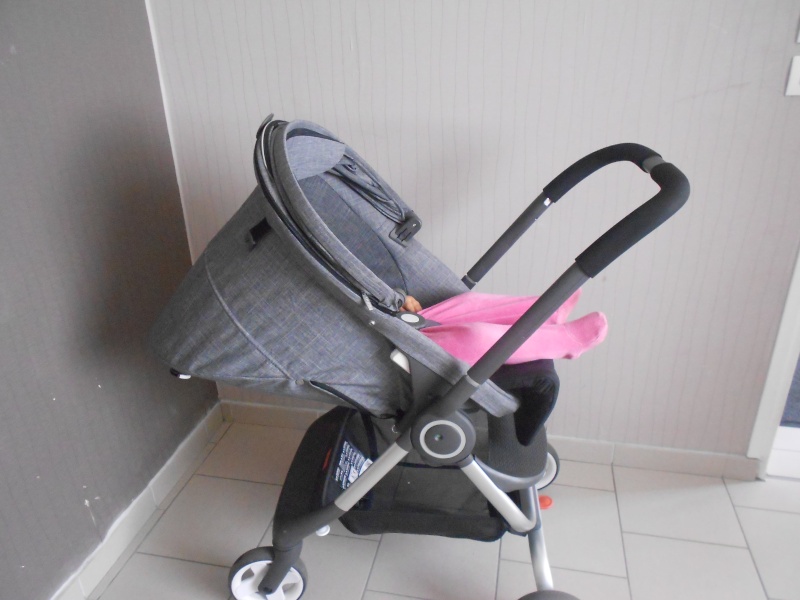 Reportage photo Scoot Stokke - Page 20 Duet_a15