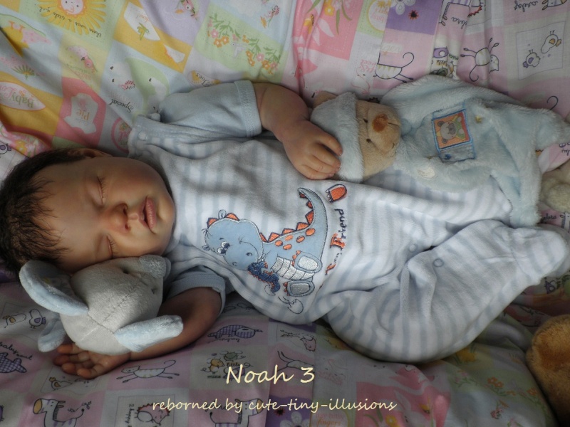 Noah by Reva Schick P6210111