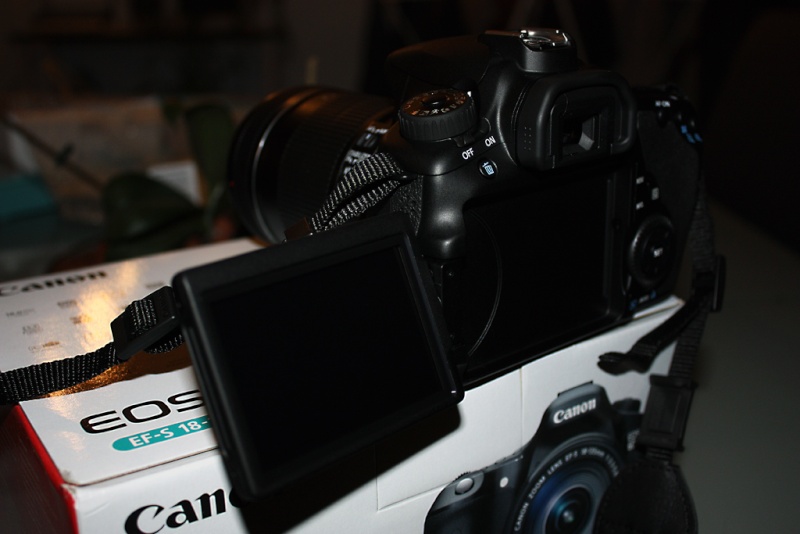 Mon EOS 60D  60d10