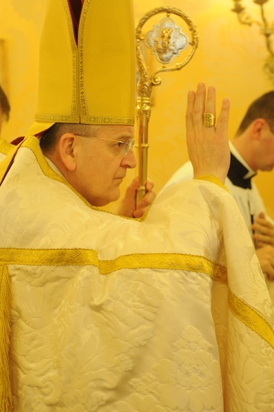 Synode sur la Famille : Le Cardinal Burke remet les choses à l'endroit ! Dsc_0910