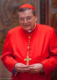 Le franc-parler du Cardinal Burke sur le Pape François et le Synode sur la Famille ! Images53