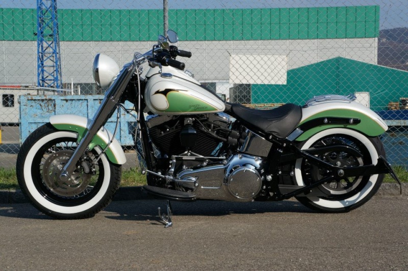 SOFTAIL SLIM... les accros de la Slim attitude !! - Page 25 10172610