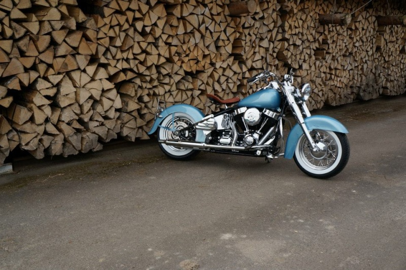 SOFTAIL SLIM... les accros de la Slim attitude !! - Page 25 10257610