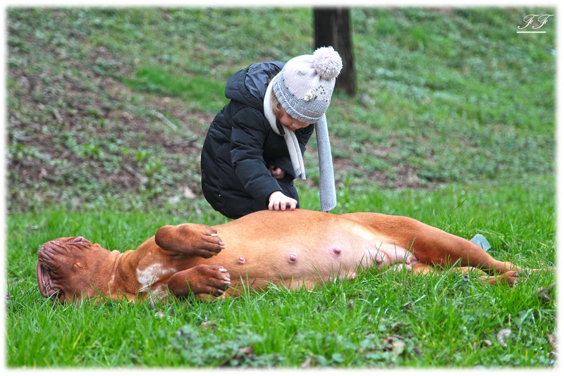  GIGOLO' ROCK'N DOGUE x VATO LOCO DOLORES - Pagina 3 14562510