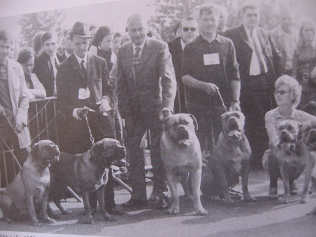 Abbeville 1972: alcuni cani allevati da Raymond Triquet con l'affisso De la Maison des Arbres 20100610
