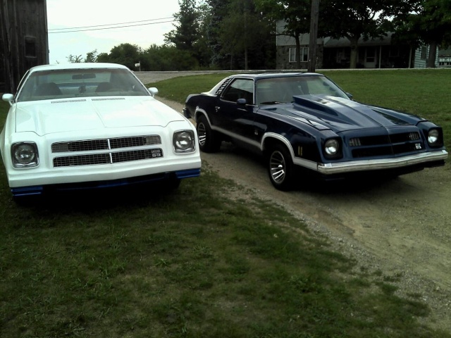 Cowl hood 73-77 Monte who has one? Twins10