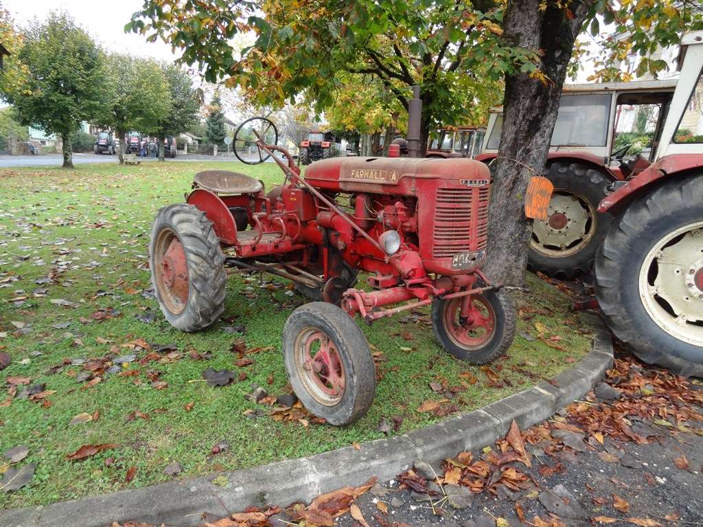 24 - des CASE-IH rassemblés à Genis (24) Dsc00210