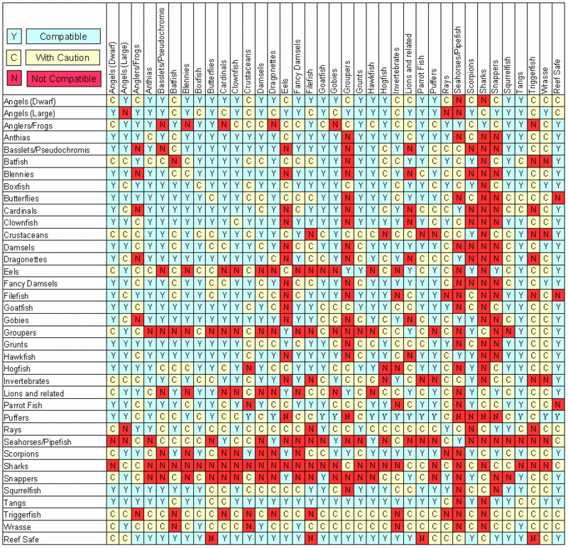 Compatability Chart Compat10