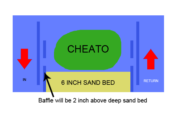 DSB - Deep Sand Beds Untitl11