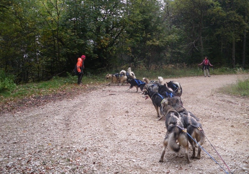 Col de l'Arzelier 26/10/2014 2014_120