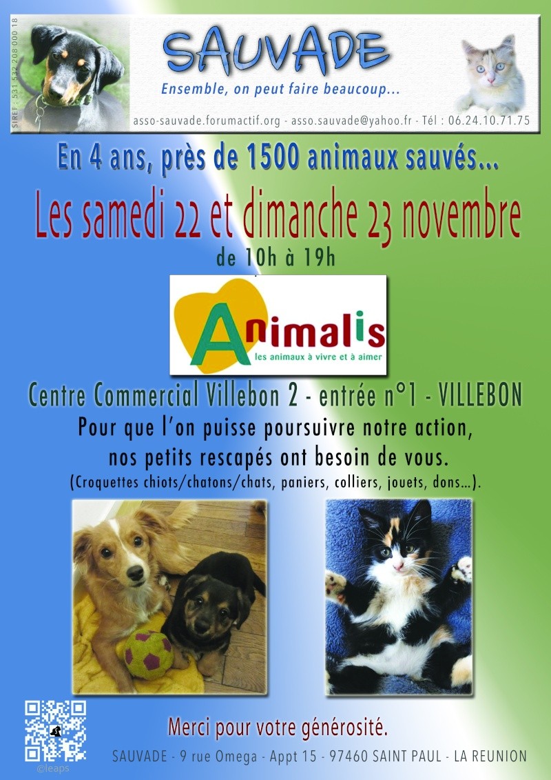 WEEK END COLLECTE ANIMALIS VILLEBON LES 22 ET 23 NOVEMBRE 2014 Affich11