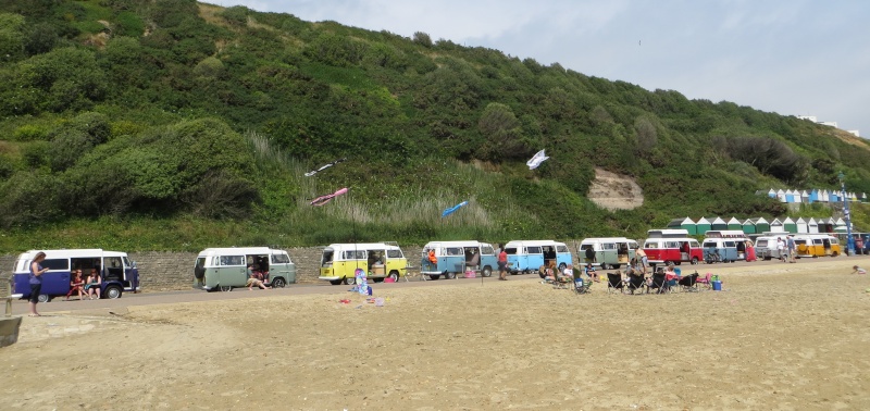 Brazi Bay Beach Day - 19th July 2014 - Page 5 Cut810