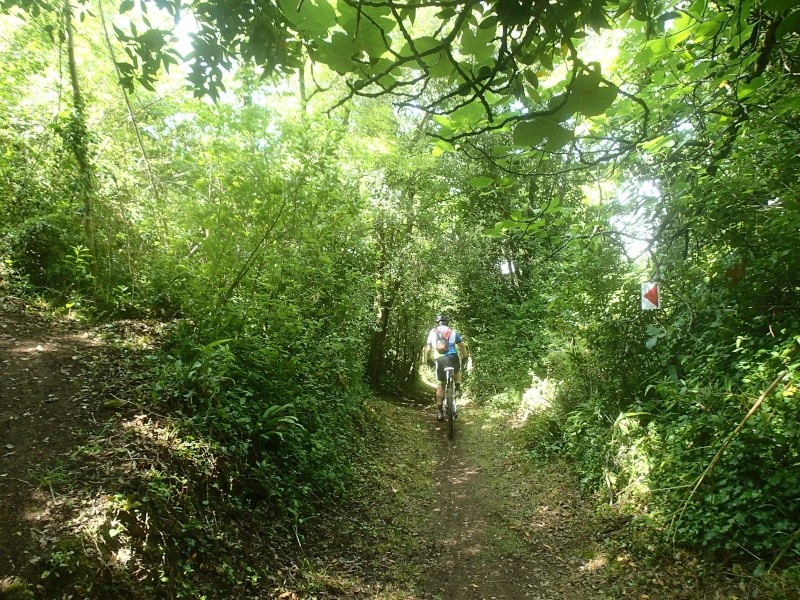 Blaye 8/6/2014 Image41