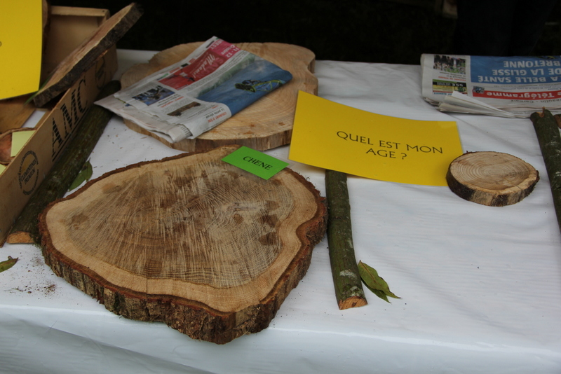 Fête de la Pomme, du Miel et des Champignons 2014 Pmc_st15