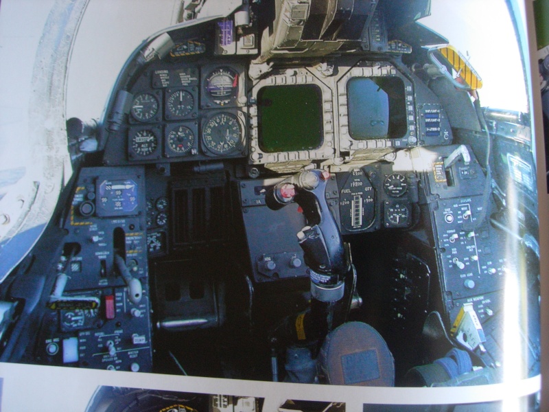 F-14 A PLUS TOMCAT VF-211  1/48 hasegawa Dscn0019