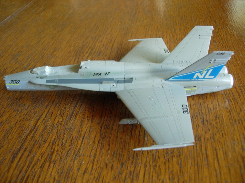 F/A-18A Hornet - Fujimi - 1/72 - Page 2 Dscn0025