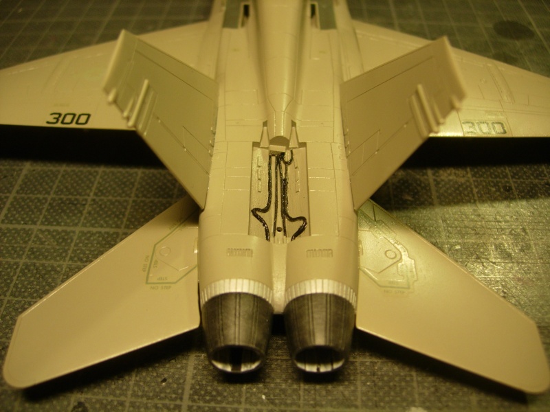 F/A-18A Hornet - Fujimi - 1/72 - Page 2 Dscn0031