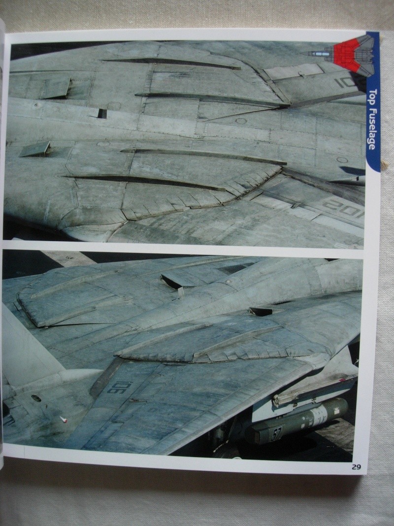 F-14A Tomcat, Hasegawa 48e - Page 2 Dscn4022