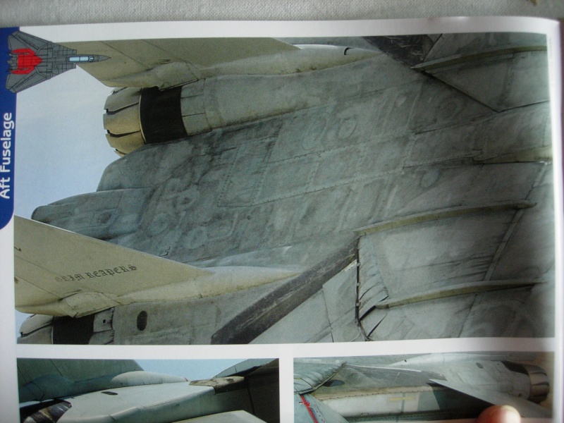 F-14A Tomcat, Hasegawa 48e - Page 2 Dscn4023