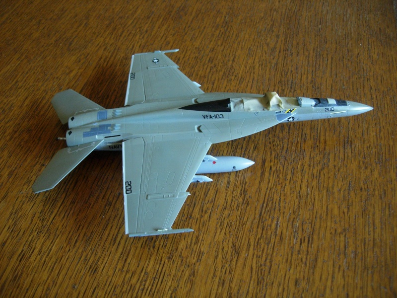 F/A-18F Super Hornet - Revell - 1/72 - Page 3 Dscn4220