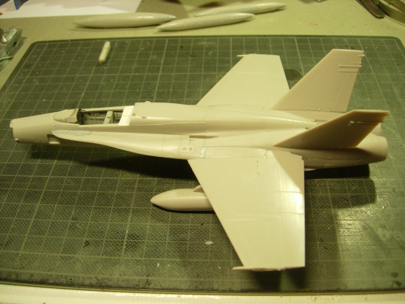 F/A-18A Hornet - Fujimi - 1/72 - Page 2 Dscn4369