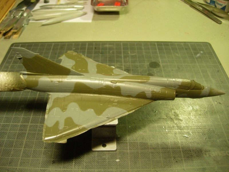 Mirage IIIE - PJ Production - 1/72 - Page 2 Dscn4425