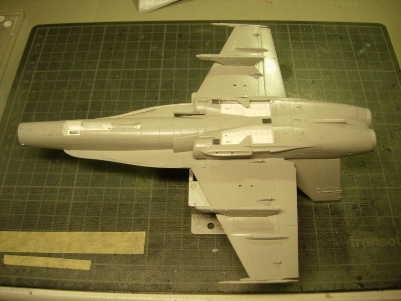 F/A-18A Hornet - Fujimi - 1/72 - Page 2 Dscn4445