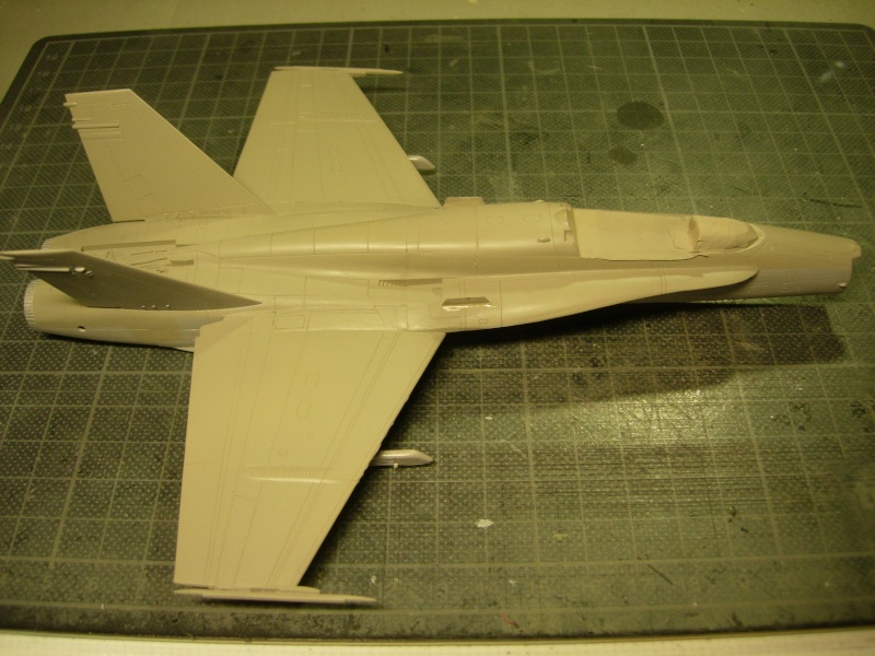 F/A-18A Hornet - Fujimi - 1/72 - Page 2 Dscn4470