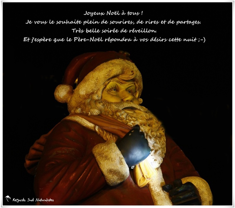 le pere noel arrive  Yl3dl910