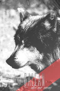 Heartbeat - Seite 6 Wolf11