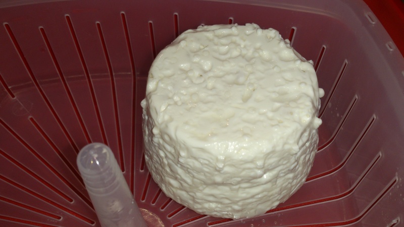 Faire du Fromage de Bibi - Page 2 2_yme_10