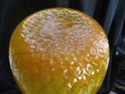 Italian or possibly American large blown deep yellow vase Seg_ca18