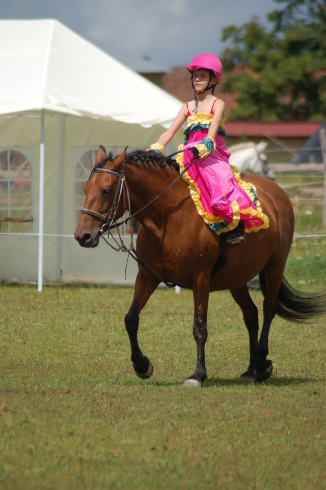 Concours de costumes du Limousin Festiv'Amazone 2014 - LOT 1 Dsc_0611