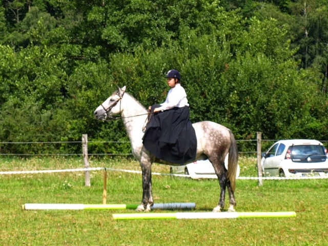 Limousin festiv Amazone en images - Page 2 P8020610