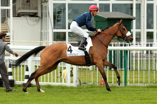 MAISONS-LAFFITTE R1 - QUINTE - JEUDI 10/07/2014 Utopia11